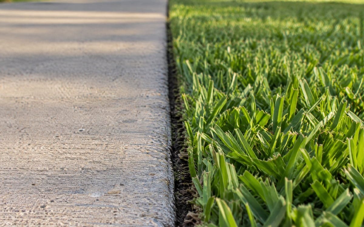 A sharp close-up of a concrete walk meeting a St. Augustine lawn, a thin dark line between the slab and the first green blades after a fresh edging pass.