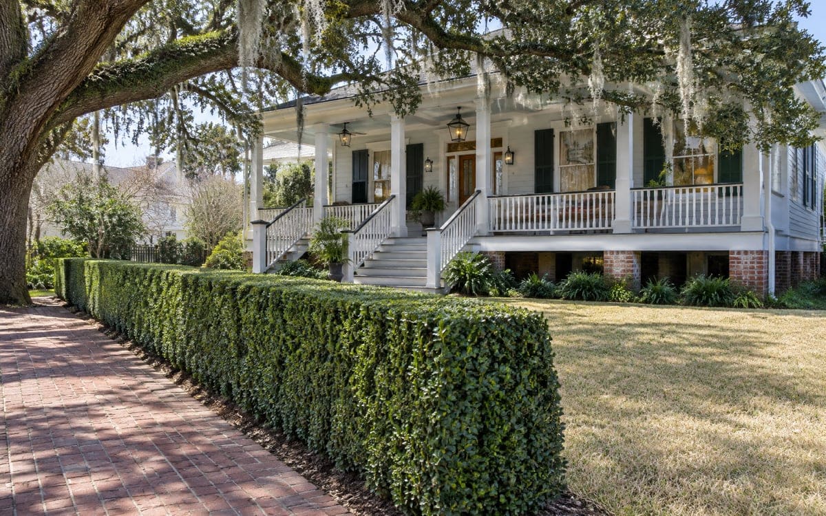A dense boxwood hedge trimmed with a long squared top runs along a brick walk by a white raised porch, under live oaks on a bright winter day with a tan dormant lawn.